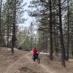 Tj Brown - @tj211221 - Instagram