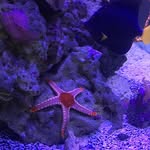 TJ Hernandez - @tj4671 - Instagram
