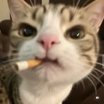 TJ Hernandez - @tjay_h - Instagram