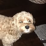 TJ Larson - @tj.lar - Instagram
