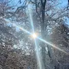 TJ Larson - @tjlarso - TikTok