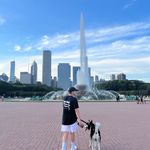 Tj McDonough - @mcdothom - Instagram