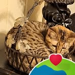 T.J. McDonough - Facebook