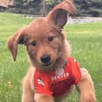 Tj Meyer - @arnold_pheasant_hunter - Instagram