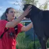 TJ paul - @user9115754962507 - TikTok