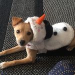 Tj Randall - @tj_randall - Instagram