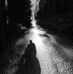 Tomek T Roibach - Facebook