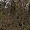 Tj Williams - @tjwilliams60 - TikTok