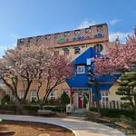 토끼와당근 - @todang2011 - Instagram