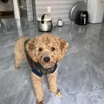 Toại Trần - @toai.t.h - Instagram