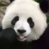 Toai Tran - @toaitran59 - TikTok