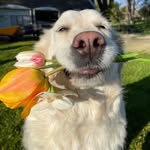 Tran Toai - @toai_tran1 - Instagram