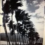 Toan Luu - @ductoan69 - Instagram