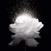 Toan Luu - @toan.luu06 - TikTok