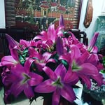Toản Lưu - @toan.luu.9889 - Instagram