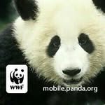 Toan Luu Ba - @toanluuba - Instagram