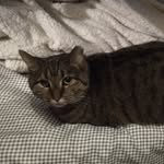 Tobin McGee - @tobinmcgee - Instagram