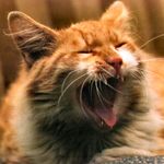 Tobias Mann - @tobias_mann_428 - Instagram