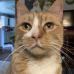 Tobias Grayson Weaver - Facebook