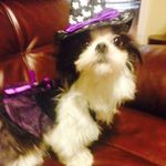 Tobie Moore - @tobie_1210 - Instagram