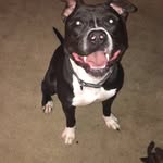 Tobie Lee Smith - @tobie_smithh - Instagram