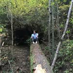 Tobin Johnson - @tobin_johnson - Instagram