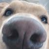 Tobin_Johnson - @tobin_johnson - TikTok