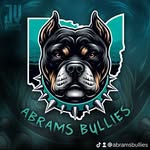 Christina & Toby Abrams - @abramsbullies - Instagram