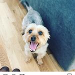 Toby Hepworth-Adcock - @tobylarone18 - Instagram