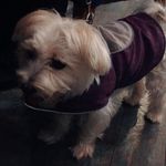 Toby Ainsworth - @toby_ainsworth_ - Instagram