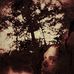 Toby Andrews - Facebook