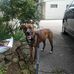 Toby Baker - Facebook