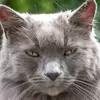Toby Baker - @toby.baker2 - TikTok