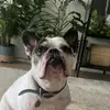 Toby - @toby_bakerrr - TikTok