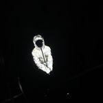 Toby Ball - @toby.ball.08 - Instagram