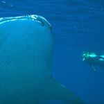 Toby Ball - @tobyball1970 - Instagram