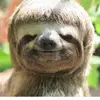 user101755 - @toby.barlow - TikTok