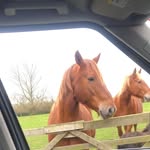 Toby Bates - @tobsbates - Instagram
