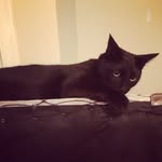 Toby Bates - @tobybates26 - Instagram