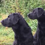 Toby Bennett - @toby.bennett.7773 - Instagram