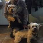 Toby Bennett and Macy Belle - @twoby.and.mwacy - Instagram