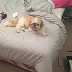 Hi Im Toby - @_toby.best_ - Instagram