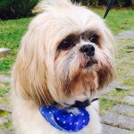 @toby_best - Instagram