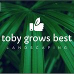 Toby Grows Best - Facebook
