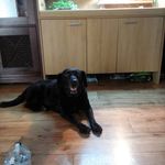 Toby Bishop - @tobybishop2011 - Instagram