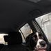 Toby Bishop - Facebook