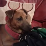 tobybond - @tobybond2002 - Instagram