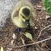 Toby Bowman - Facebook