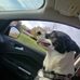 Toby Boyer - Facebook