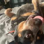 Toby brown - @tobybrown04 - Instagram